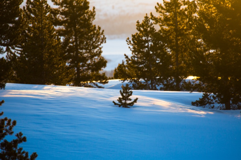 20150308-GC1A0306.jpg